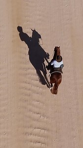 88K views · 3.8K reactions | If you want your horse to get good at loping, you have to practice loping long enough for him to develop some rhythm in the gait. This is an excerpt from Clinton's ride with Tyrion in the Dirt-Road Training Series. Watch the full training session on the Downunder Horsemanship app or the No Worries Club website. #ApplyTheMethod | Downunder Horsemanship | Facebook