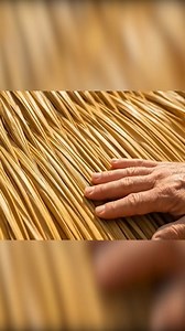 Retired Businessman Turned an Abandoned Beach House Into a Cozy Place For His Hobby | NEO Blue