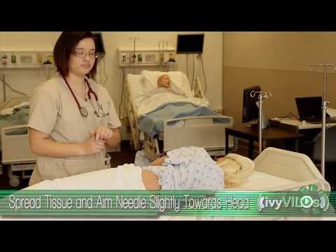 Intramuscular Site: Ventral Gluteal ~ivyVILOs~(Ivy Tech Community College, School of Nursing)