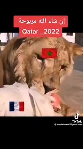 10K views · 195 reactions | 殺 | MAROC | Facebook