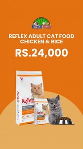 🐱🍽️ Treat your feline friend to the ultimate nutrition! Reflex Adult Cat Food with Chicken & Rice is packed with all the essentials your cat needs for a healthy and happy life. 🐾✨ Watch them purr with satisfaction! 😻 #HealthyCat #ReflexCatFood #HappyFeline #ChickenAndRicePerfection #CatLoversClub #FelineNutrition #PurrfectMeals #CatCareEssentials #PetParentLife #CatFoodGoals" 🎥 Show your cat enjoying their meal or the product unboxing in the reel to make it more engaging! | Royal pets
