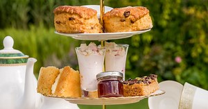 18 garden centres and nurseries with cafes and things to do around Brum