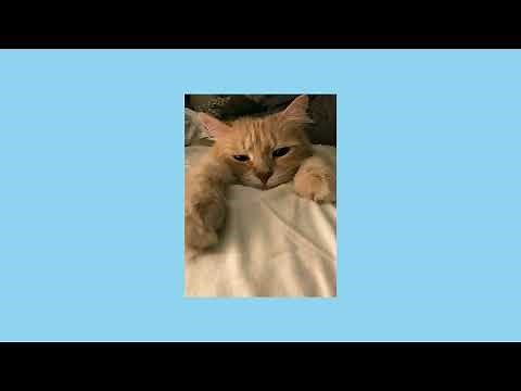 Notions - Rare occasions sped up +1 hour