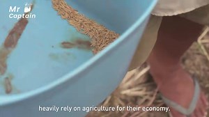 55K views · 91 reactions | #OceanInsight【Extreme weather ‘roasting’...