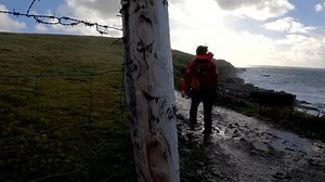 Người phụ nữ bước đi trên: Video có sẵn (100% miễn phí bản quyền) 3740505375 | Shutterstock