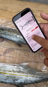 58K views · 1.4K reactions | La mejor aplicación para identificar los peces !!! FishVerify | Pesca Y Caza USA | Facebook