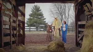 #Tewelede__ተወለደ__Awtaru_Kebede___Samrawit_Caesar #page Share Follow Yadirgu | Tigistu Beyene