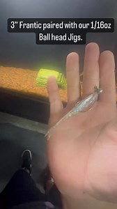 Great for the flats, lakes, streams etc. FG knot or double Uni knot from braid to leader approx 7-8ft. Pair our Jigheads with our Chargers, Idako’s and Frantics. With this setup I’ve hit Oio’s, Papio’s, Barracuda’s in the Salt Water, and Peacock Bass, Large and Smallmouth Bass Fresh water fishing in the lakes and streams. Hop on to Campanialures.com and load up 酪酪 Feel free to ask any questions below | Campania Lures | Facebook