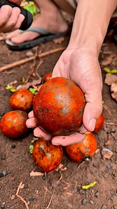 Red Mango😱 #fyp #reelsfb | Saputra Adi Kusuma