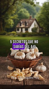 5 Secretos que no sabías del ajo #remedios #natural #fblifestyle #remediosnaturales #datoscuriosos | Tips Saludables Hoy