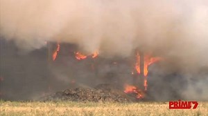 5.1K views · 31 reactions | More than 6000 bales of hay have been destroyed by fire in Howlong. | 7NEWS Border | Facebook