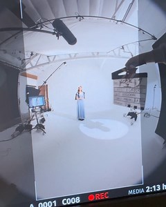 4K views | catbird on Reels | Facebook