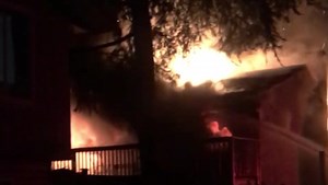 Maple Ridge home destroyed, pets killed after early morning fire