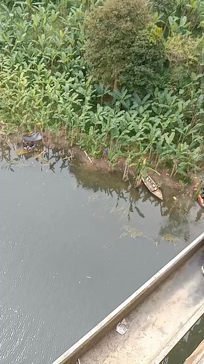 Sasak rajadamdala #ayunpuntang #sorotan #fyp | Eza