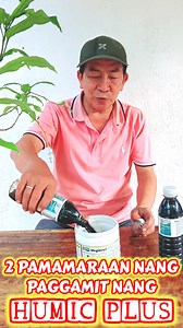 Organic Humic plus ginagamit din sa Indian Beads Plant #KabayangManny #IndianBeads #HumicPlus #OrganicFertilizer #IndianBeadsGarden #PlantNutrition #GardenCare #HumicAcid #FertilizerForBeads #NaturalGarden #BeadsPlanting #OrganicGardening #HumicPlusBenefits #HealthyGarden #BeadsCultivation #GrowWithHumicPlus #GardenNutrition #FertilizeYourBeads #SustainableGarden #HumicPlusMagic #IndianBeadsCare #GardenersChoice | Kabayang Manny