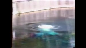 20K views · 167 reactions | [5149D][High Dive] Really impressive dive by Tom Michael! | Watermagic | Facebook