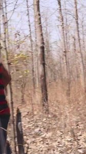 3.5K views · 160 reactions | राष्ट्रीय वन हुतात्मा दिनी सर्व वनविरांना विनम्र अभिवादन..! Maha Forest #mahaforest #forest #SMUpdate | Sudhir Mungantiwar | Facebook