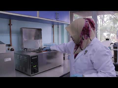 Lysis buffer incubation