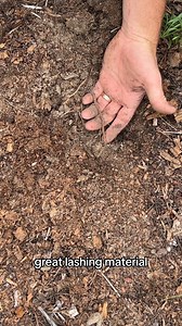 454K views · 9.5K reactions | how to cook campfire rabbit #fyp #bushcraft #cooking #survival #rabbit #primitive | Sage Smoke Survival | Facebook