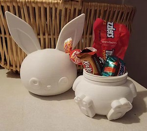 Easter Bunny Threaded Box STL File for 3D Printing, Bunny Storage Container, Printable Spring Decor - Etsy