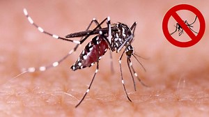 9.5K views · 62 reactions | Goa: 81 Dengue Cases In July | Prudent Media | Facebook