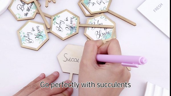 Baby in Bloom Succulent Tags, Wooden Plant Stakes Label Hexagon Plant Markers Plant Signs Succulents Labels for Baby Shower Succulents Potted Plants(48 Pcs)