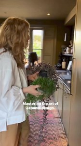 7.4K views · 144 reactions | Mastering the Art of Japandi Design....