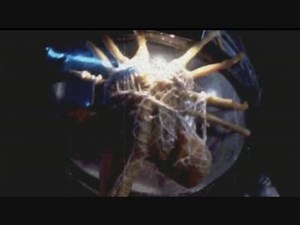 【全裸悲鳴宇宙ホラー】ALIEN: ISOLATION 海外版実況プレイ 29【FeniX】