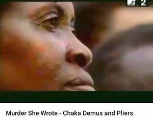 Chaka Demus and Pliers, stylisé Chaka Demus & Pliers, est un duo jamaïcain de reggae formé à Kingston en 1991, composé d'Everton Bonner (Pliers) et John Taylor (Chaka Demus). Avant de former le duo, les deux artistes étaient déjà des musiciens confirmés, avec Pliers ayant travaillé en solo et en duo avec Pinchers. Leur premier maxi, "Gal Wine", sort en 1991, suivi en 1992 par "Murder She Wrote", qui devient un immense succès. Ils collaborent avec plusieurs producteurs, dont Ossie Hibbert, Rankin