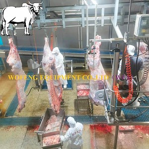 [Hot Item] Commercial Slaughterhouse Project Halal Cattle Slaughter Equipment Meat Cutting Line Workshop Buffalo Abattoir Machinery