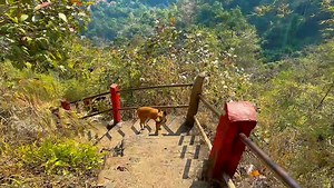 53K views · 1.7K reactions | Climbing Mount ZweKaPin! | Poe Karen Buddhism | Facebook