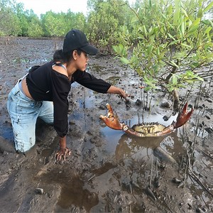 Swamp Adventures - Giant Mud Crab Catching After Low Tide #MudCrabCatching #SwampFishing #LowTideCrabbing #MudCrabHunting #SwampAdventures #CrabTrapping #FishingLife #CrabFishingTips #SwampWildlife #OutdoorFishing #TideFishing #CrabbingAtLowTide #CatchAndCook #SwampMudCrabs #MudCrabTechniques | Nit Lifestyle