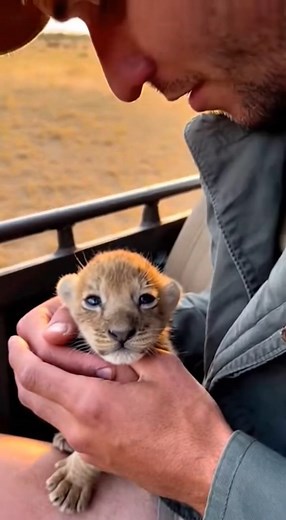 85K views · 2.4K reactions | An incredible, tense scene was captured...