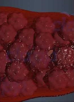 How milk is produced in mothers body 21 (3D Animation)