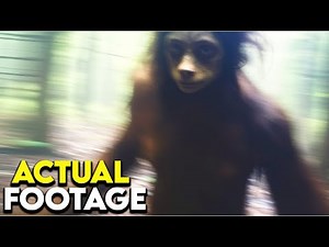 Bizarre Captures on Hidden Trail Cam Footage