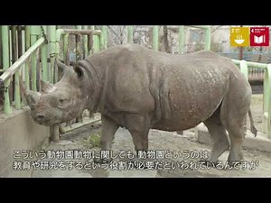 動物行動学研究室（動物科学科）