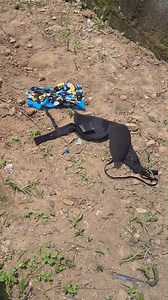 Person Wife, Oh My God | Mumu People