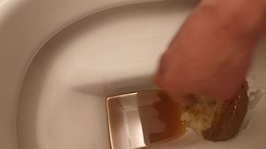 Scat farming at work