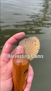 Oregon Coast Clamming