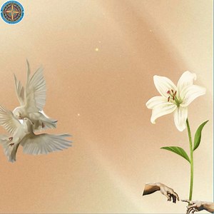 Jacobite Syrian Orthodox Student Movement - UK on Reels