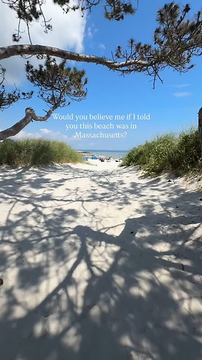 White sandy beaches, crystal clear water, shells and sea life like you wouldn’t believe. 🌊🦪🦞 Wingaersheek Beach in Gloucester, Ma #newenglandliving #coastalliving #massachusetts #newenglandlife #wingaersheekbeach #gloucesterma #massachusettsbeaches #eastcoast #eastcoaststyle #eastcoastsummer #newenglandsummer #eastcoastlifestyle | thedubeauabode