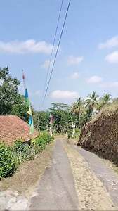 Jl.NY. Ngobaran desa Soko kecamatan Bagelen #bagelen #purworejo | Info Jalanan Purworejo