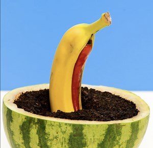 44K views · 502 reactions | Novas maneiras de cultivar suas plantas favoritas | Ideias Incríveis | Facebook