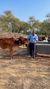 29K views · 11K reactions | 1000 Cara ka pura free m …….. #instagram #viral #trending #workout #krishnakrishiyantra | Basanti Lal Bhoi | Facebook