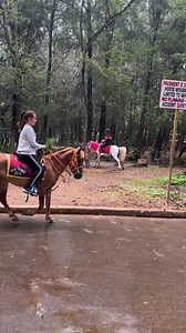 4.1K views · 166 reactions | #horsebackriding #baguio #WrightPark #wrightparkbaguio #reels #jacey | Jacey | Facebook