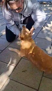 Balkan Underdogs on Reels