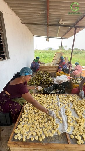 Banana drying process and cutting #agribusiness #womenempowerment #women #banana #horticulture #farmers #gunapatis #marketing #agriculture #trending #agribusiness #banana #bananas #solarsystem #solardryer #raheja #trendingshorts #trendingshorts #farming #technology #tech #farmer #instagram #insta #in #viral #viralreels #shorts #reels #fbpost2024 #fbreelsfypシ゚viralシ #fbreels #shortstory #shortstories #gunapatis #banana #farmersmarket #drying | Gunapatis