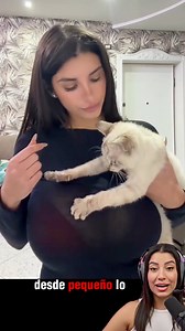 254K views · 2.2K reactions | Amor por los gatos  #usa #reelsviralシ #viralreels #usareels #EEUU | OéPizco | Facebook