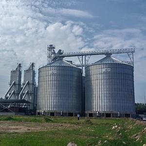 [Hot Item] Glvanized Steel 500 10000 Ton Grain Storage Silos for Sale Prices