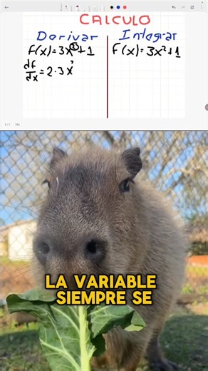 22K views · 740 reactions | Capi Tutoriales Derivar E Integrar... #cálculointegral #ingenieria #meme | El Tío Vinteño | Facebook